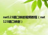 nat123端口映射视频教程（nat123端口映射）