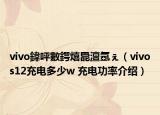 vivo鍏呯數鍔熺巼澶氬ぇ（vivos12充电多少w 充电功率介绍）