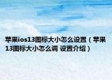 苹果ios13图标大小怎么设置（苹果13图标大小怎么调 设置介绍）