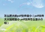 怎么把大的pdf文件变小（pdf文件太大如何变小 pdf文件怎么变小介绍）