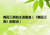 梅花三弄的主演是谁（《梅花三弄》的歌词）