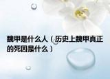 魏甲是什么人（历史上魏甲真正的死因是什么）