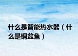什么是智能热水器（什么是铜盆鱼）