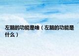 左脑的功能是啥（左脑的功能是什么）