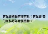 万年青植物百度百科（万年青 天门冬科万年青属植物）