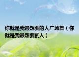 你就是我最想要的人广场舞（你就是我最想要的人）