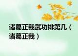 诸葛正我武功排第几（诸葛正我）