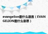 evangelion是什么语言（EVANGELION是什么意思）