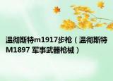 温彻斯特m1917步枪（温彻斯特M1897 军事武器枪械）