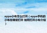 oppo小布怎么打开（oppo手机的小布在哪里打开 如何打开小布介绍）