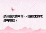泉州最灵的草药（q组织里的成员有哪些）