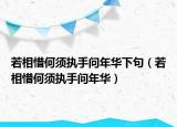 若相惜何须执手问年华下句（若相惜何须执手问年华）