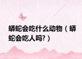 蟒蛇会吃什么动物（蟒蛇会吃人吗?）