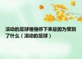 滚动的足球慢慢停下来是因为受到了什么（滚动的足球）