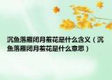 沉鱼落雁闭月羞花是什么含义（沉鱼落雁闭月羞花是什么意思）