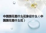 中国国花是什么花象征什么（中国国花是什么花）