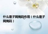 什么是子网掩码作用（什么是子网掩码）