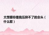 太想爱你是我压抑不了的念头（什么歌）