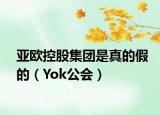 亚欧控股集团是真的假的（Yok公会）