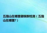 五指山在哪里做核酸检测（五指山在哪里?）