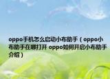 oppo手机怎么启动小布助手（oppo小布助手在哪打开 oppo如何开启小布助手介绍）