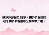 拼多多客服怎么找?（拼多多客服如何找 拼多多客服怎么找教学介绍）