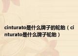cinturato是什么牌子的轮胎（cinturato是什么牌子轮胎）