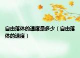 自由落体的速度是多少（自由落体的速度）