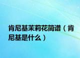 肯尼基茉莉花简谱（肯尼基是什么）