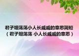 君子坦荡荡小人长戚戚的意思简短（君子坦荡荡 小人长戚戚的意思）