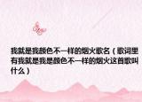 我就是我颜色不一样的烟火歌名（歌词里有我就是我是颜色不一样的烟火这首歌叫什么）