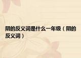 阴的反义词是什么一年级（阴的反义词）