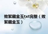 败絮藏金玉txt完整（败絮藏金玉）