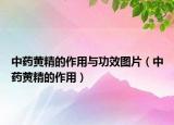 中药黄精的作用与功效图片（中药黄精的作用）