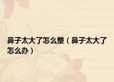 鼻子太大了怎么整（鼻子太大了怎么办）