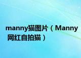 manny猫图片（Manny 网红自拍猫）