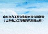 山东电力工程咨询院有限公司领导（山东电力工程咨询院有限公司）