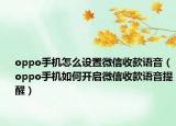 oppo手机怎么设置微信收款语音（oppo手机如何开启微信收款语音提醒）