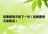 如果爱有天意下一句（如果爱有天意歌词）