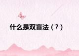 什么是双盲法（?）