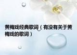 黄梅戏经典歌词（有没有关于黄梅戏的歌词）