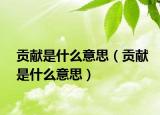 贡献是什么意思（贡献是什么意思）