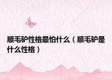 顺毛驴性格最怕什么（顺毛驴是什么性格）