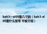 bah3—al00是几寸的（bah3-al00是什么型号 平板介绍）