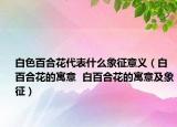 白色百合花代表什么象征意义（白百合花的寓意  白百合花的寓意及象征）