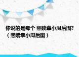 你说的是那个 熙陵幸小周后图?（熙陵幸小周后图）