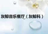 灰鲸音乐餐厅（灰鲸科）