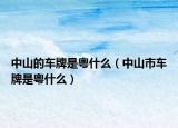 中山的车牌是粤什么（中山市车牌是粤什么）