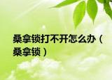 桑拿锁打不开怎么办（桑拿锁）