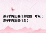 燕子的尾巴像什么答案一年级（燕子的尾巴像什么）